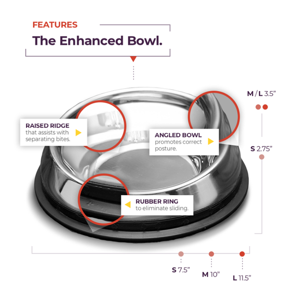 Enhanced Pet Bowl and Stand Bundle